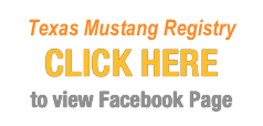 Texas Mustang Registry
CLICK HERE 
to view Facebook Page
